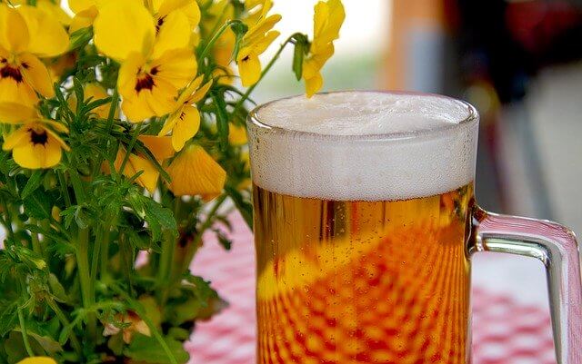 Beneficios de la cerveza en la mujer